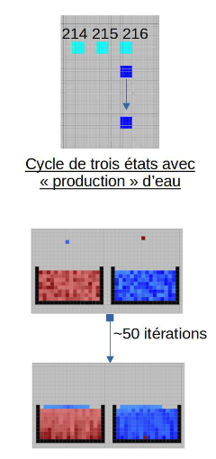 Density, gravity, source terms and phase interaction in a CA model