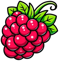 Raspberry