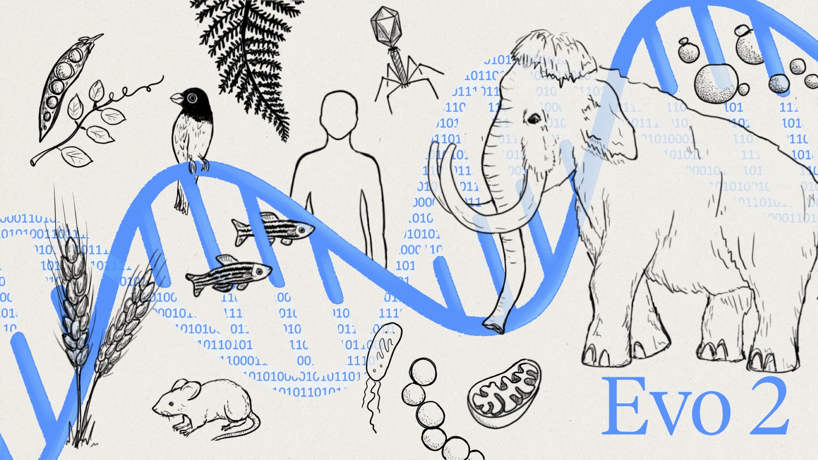 Evo 2 — DNA double helix and biological sketches