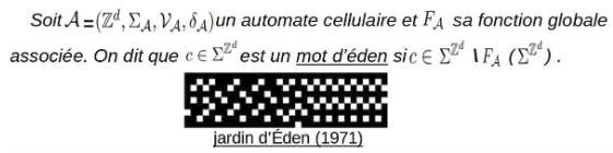 Garden of Eden pattern in a cellular automaton