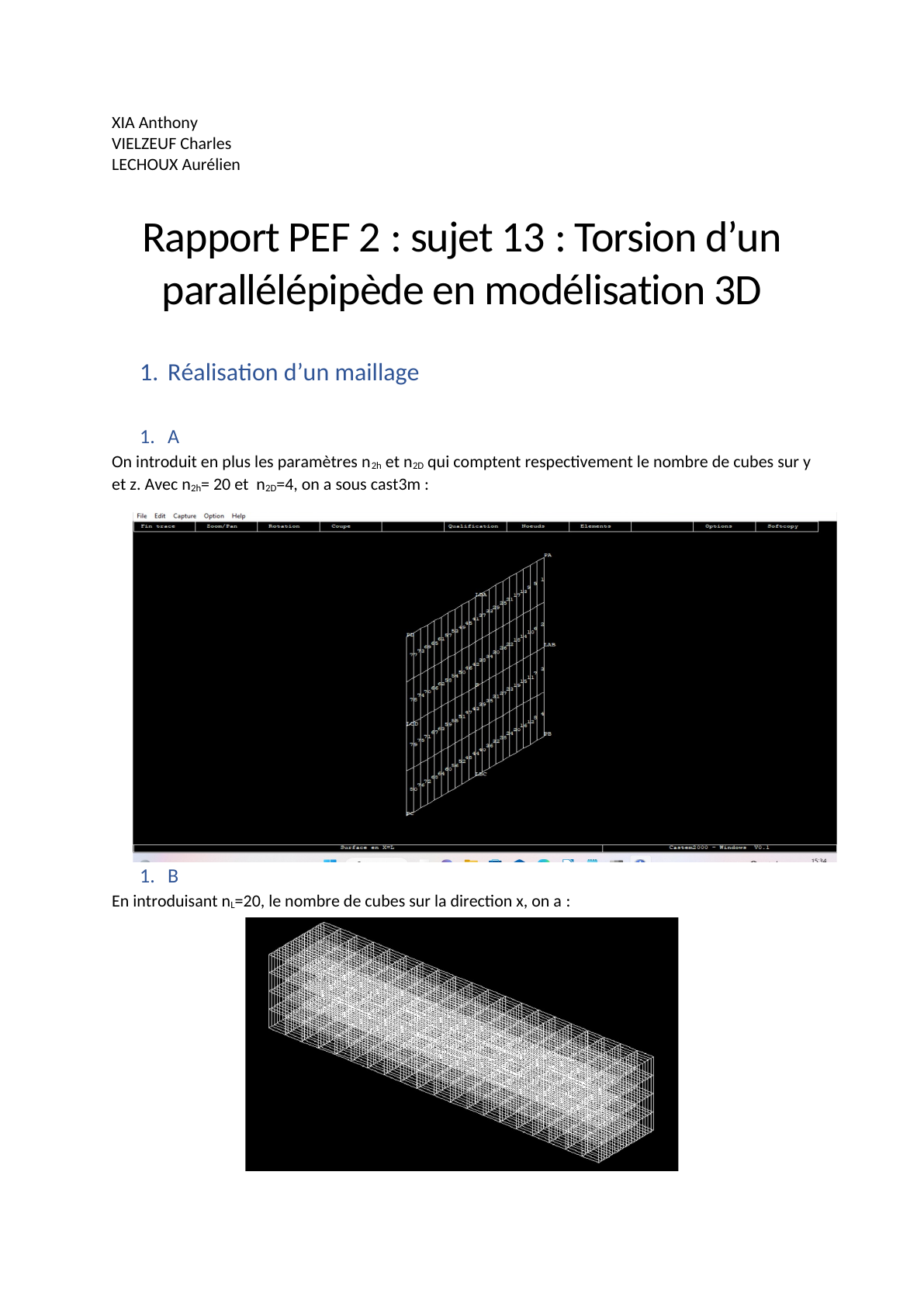 Cast3M torsion report — page 1